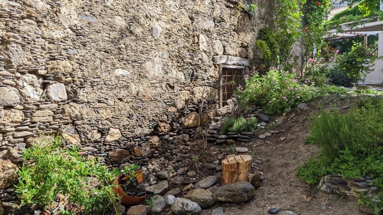 Pension Irene Szúja Kültér fotó